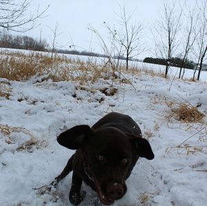 Meet your Posher, Emma